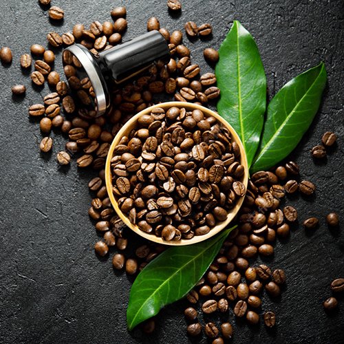 Roasted Coffee Bean